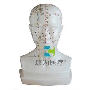 “康為醫(yī)療”頭針灸模型20CM